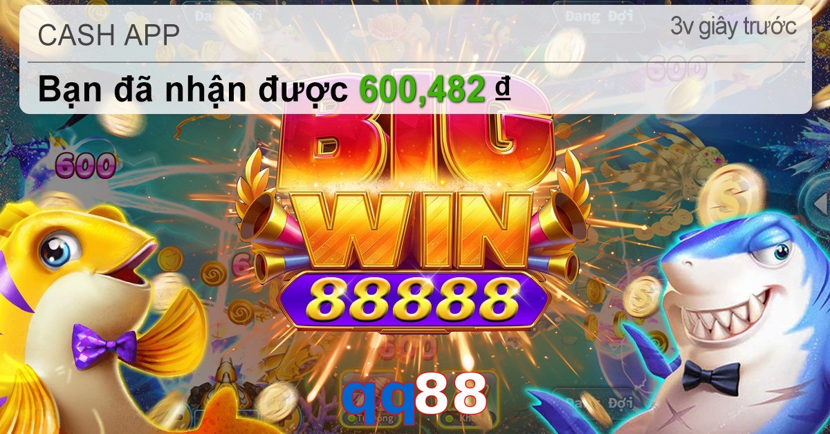 qq88