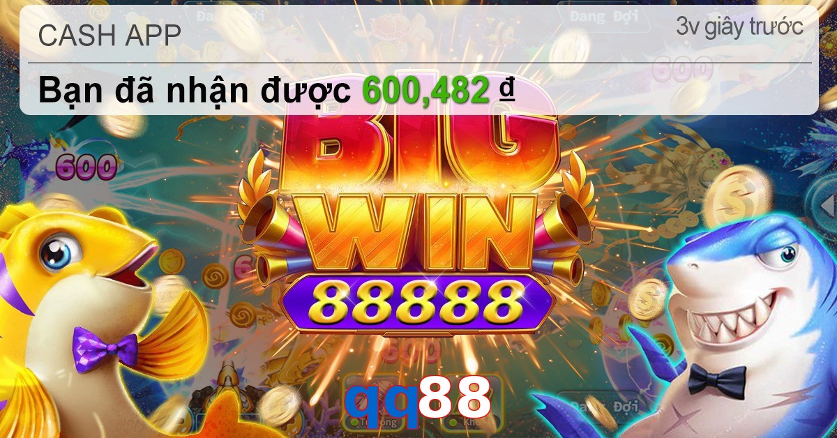 qq88