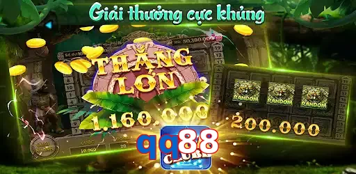 qq88